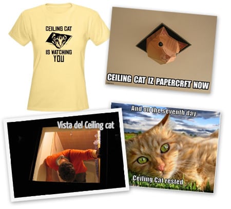 ceiling cat recortable camisa camiseta gato techo