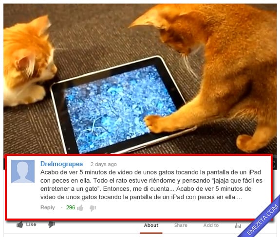 Comentarios de Youtube: Gatos ipad