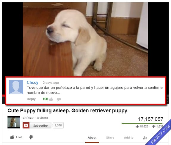 Comentarios de Youtube: Mascota dormida