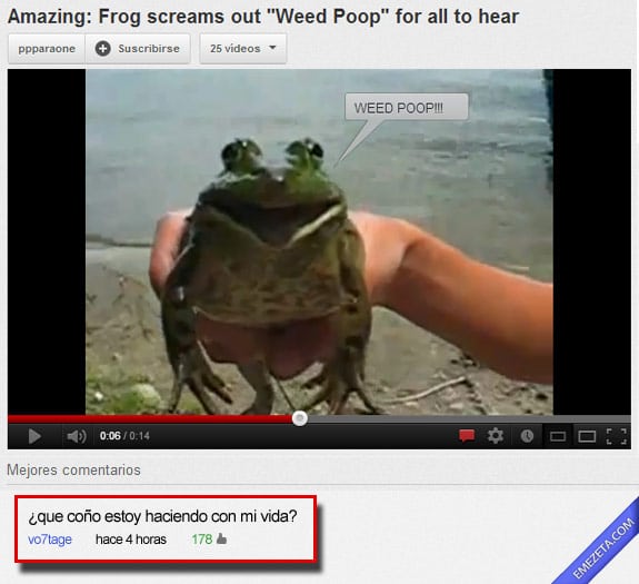 Los mejores comentarios de youtube: Rana weed poop