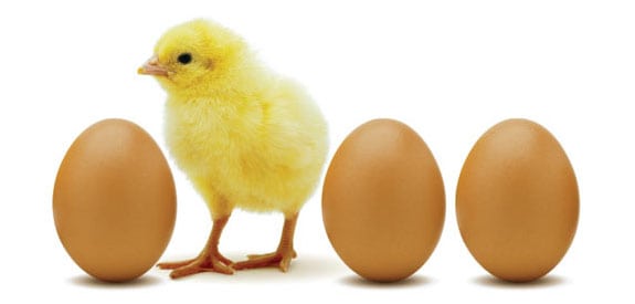 La paradoja del huevo y la gallina (filosofía)