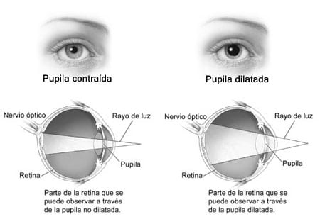 pupila ojo