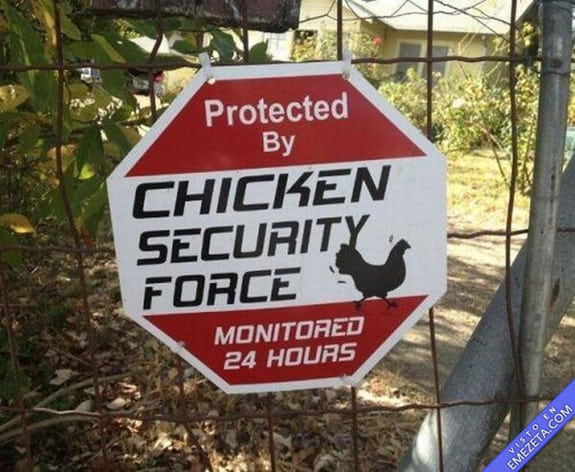 Carteles desconcertantes: Chicken security force