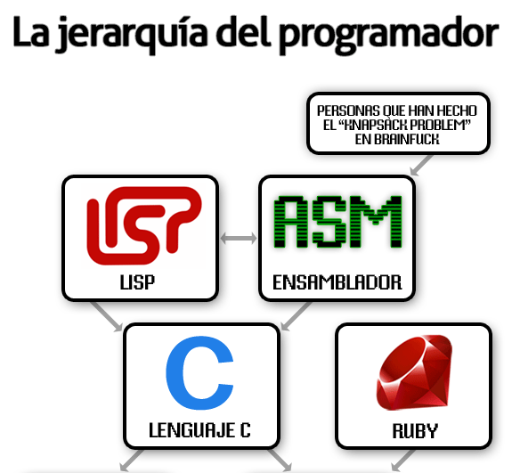jerarquía del programador