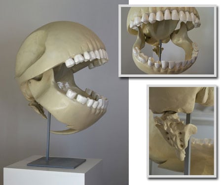 pacman skull